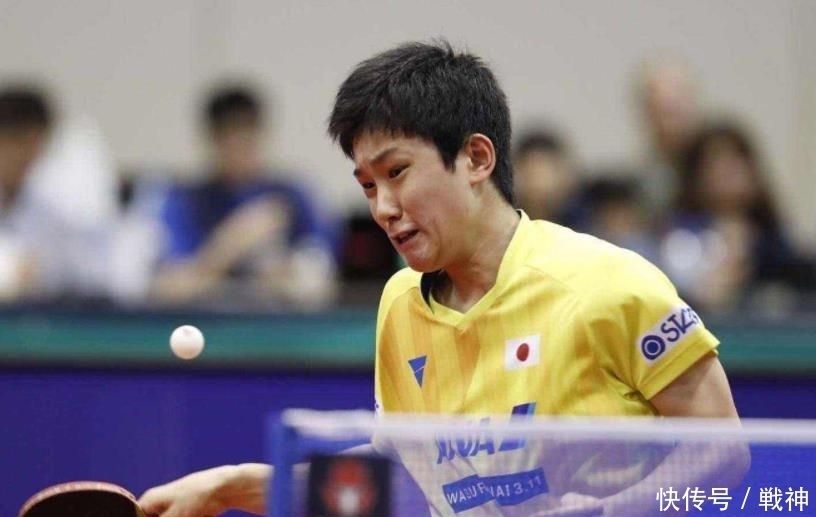 本文将深入 本文将深入